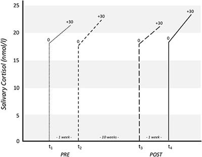 Effects of Different Types of Exercise Training on the Cortisol Awakening Response in Children